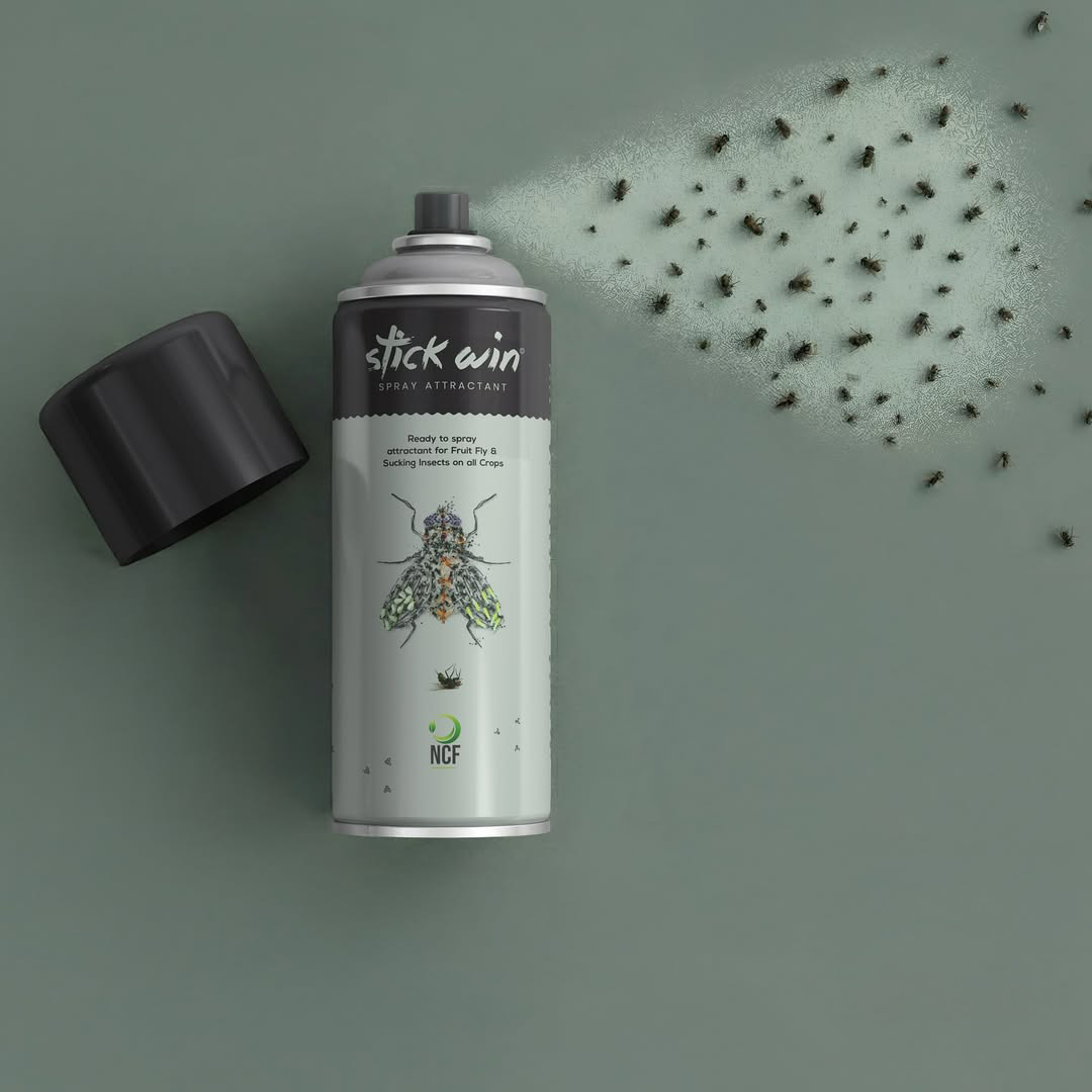 Stick Win Spray